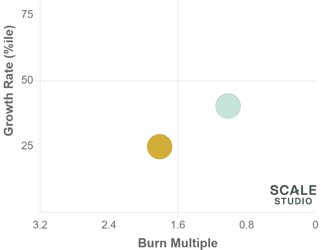 Burn Multiple: one metric to rule them all